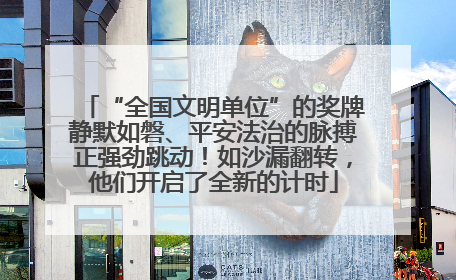 “全国文明单位”的奖牌静默如磐、平安法治的脉搏正强劲跳动！如沙漏翻转，他们开启了全新的计时